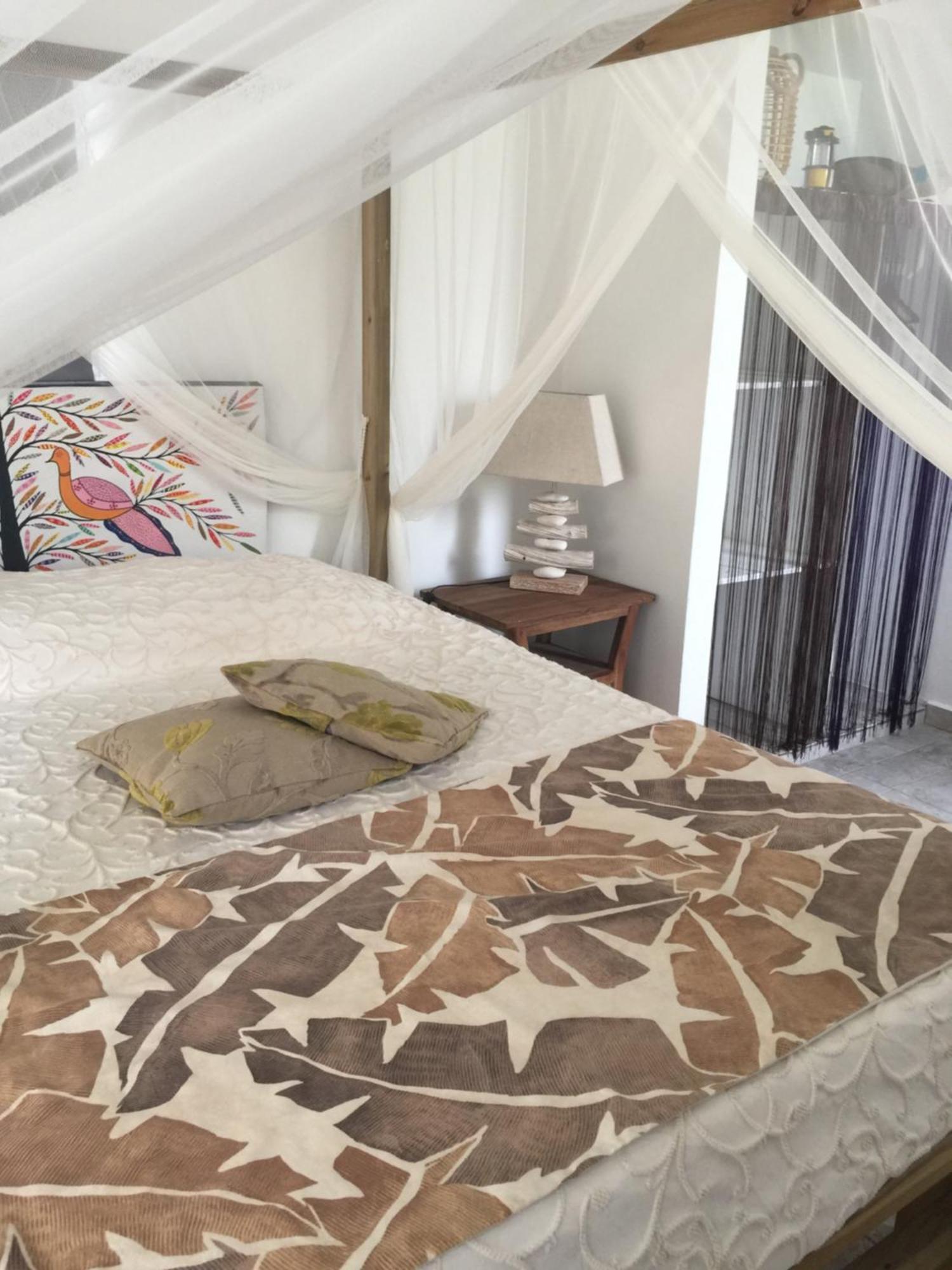 Les Gites De Casita By Kreyol Animal Grand-Bourg  Luaran gambar